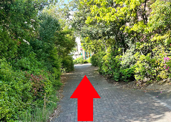 iCracked Store イオンモール四日市北への道順3